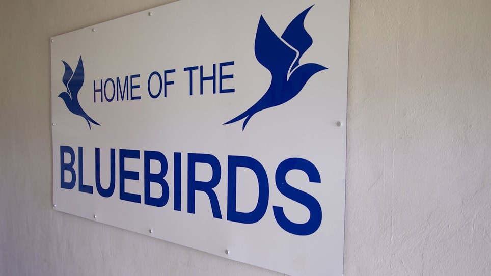 Photo of a "Home of the Bluebirds" sign at the stadium